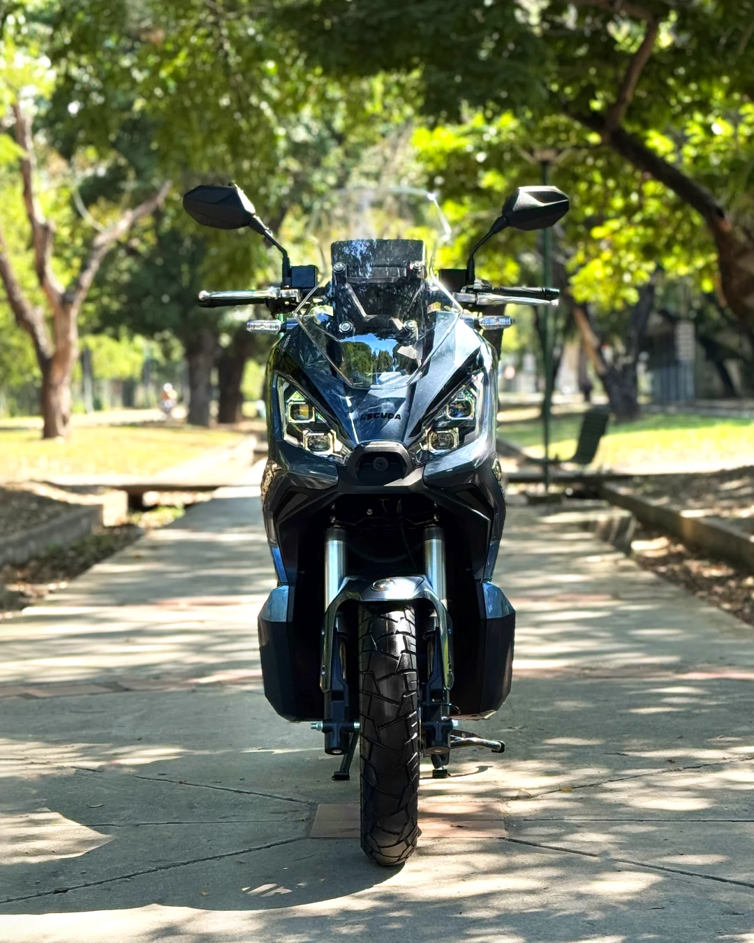 alexa-gallery-slide1