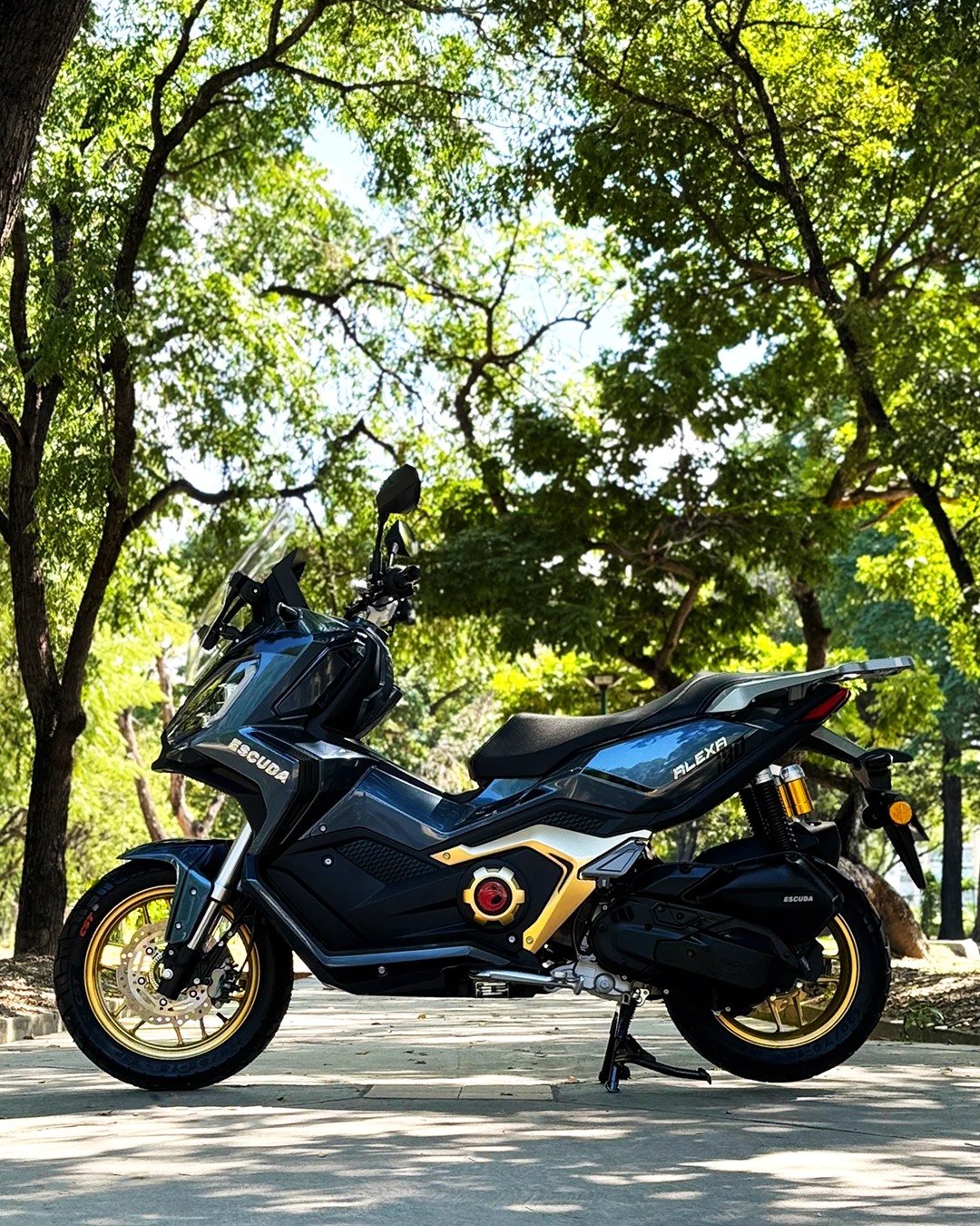 alexa-gallery-slide10