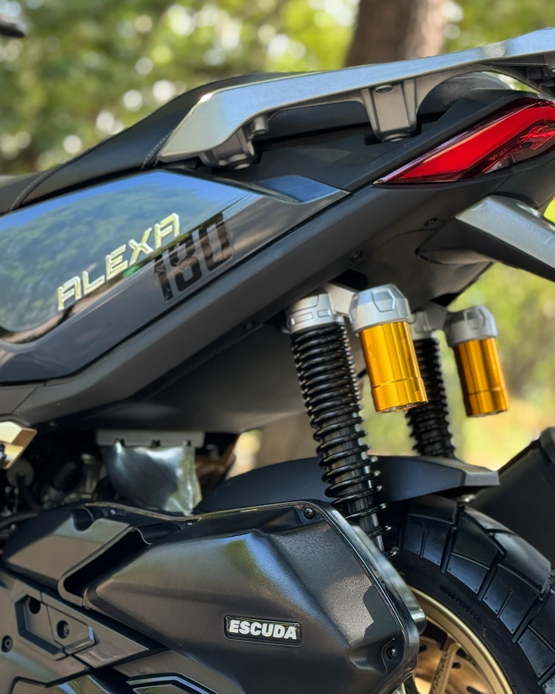 alexa-gallery-slide2